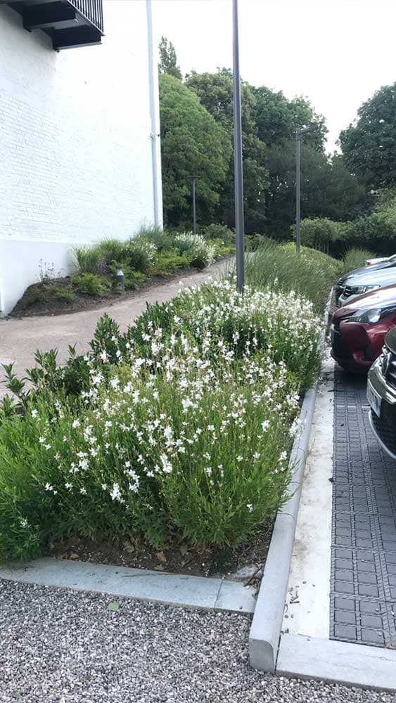 Création parking - Jardinier d'entreprise