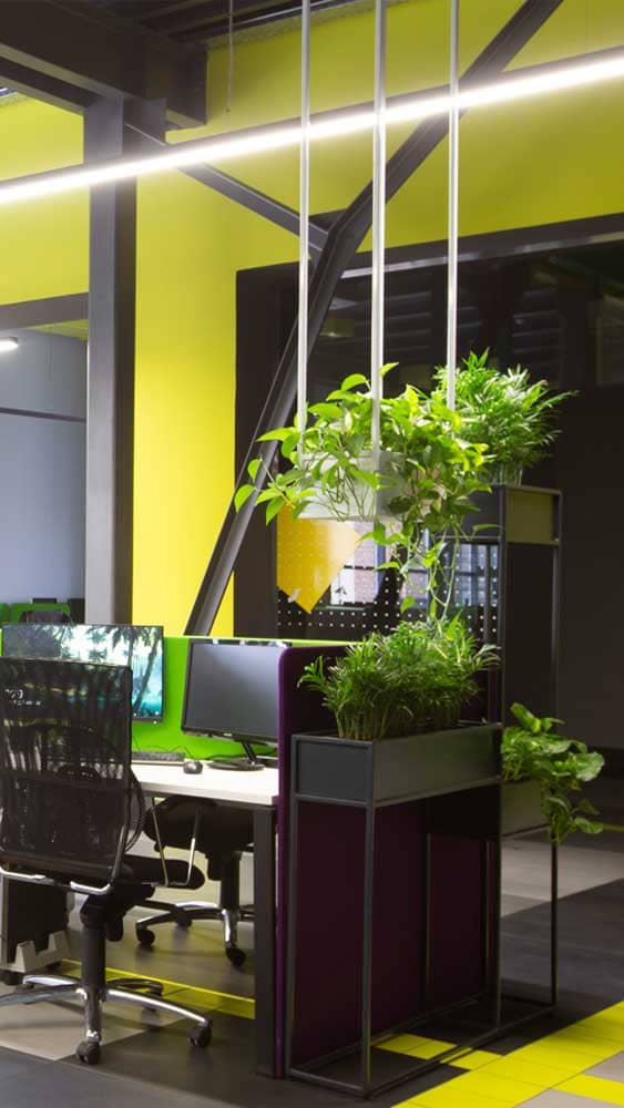 Plantes bureau et open space