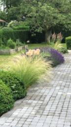 Aménagement jardin particulier Villeneuve d'Ascq - Plantation arbustes et massifs