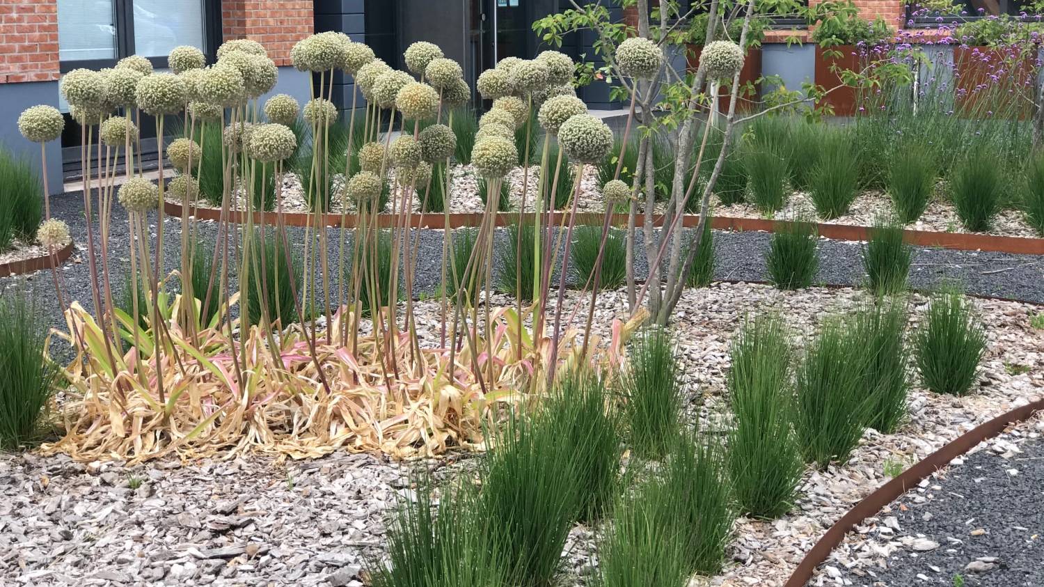 Création de massifs jardiniers paysagistes - Sarbacane à Hem