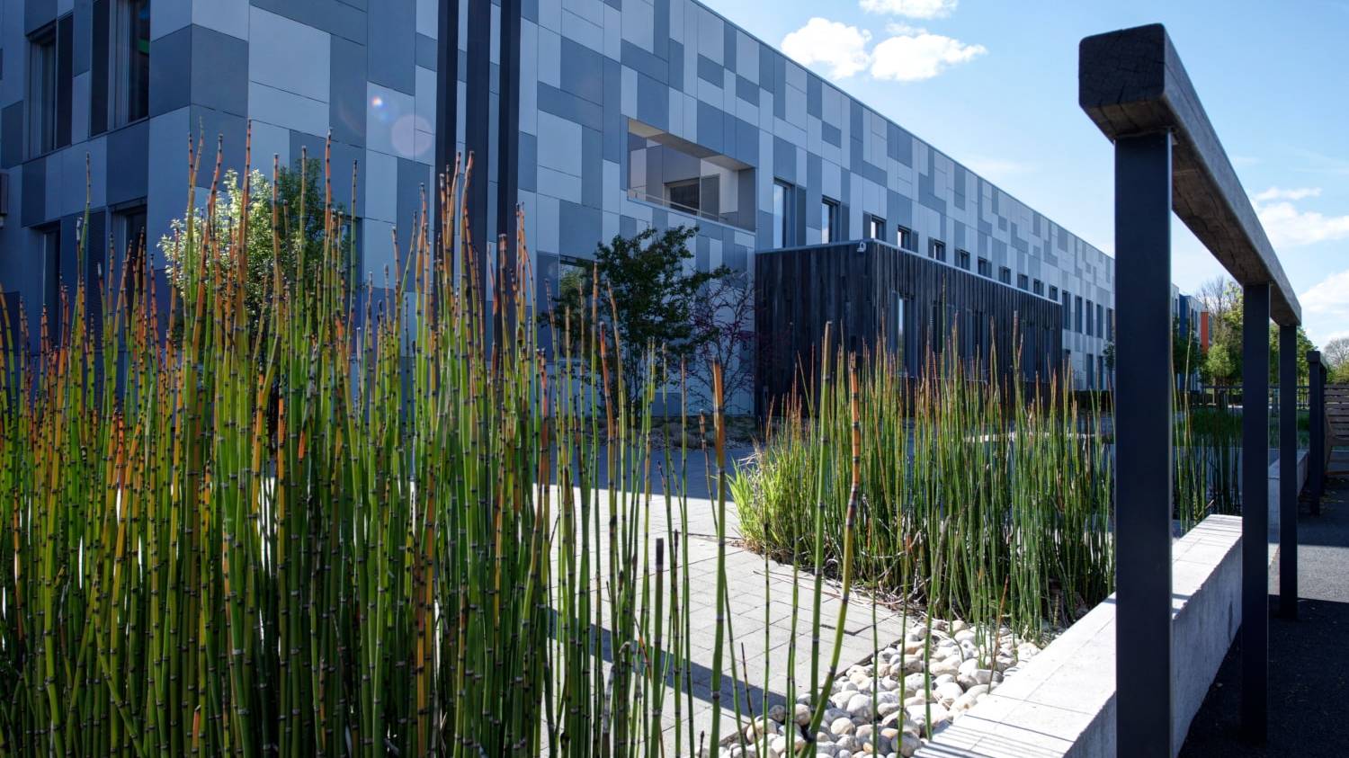 Entretien des espaces verts extérieurs d'entreprise - Thieffry Parc & Jardin Lille