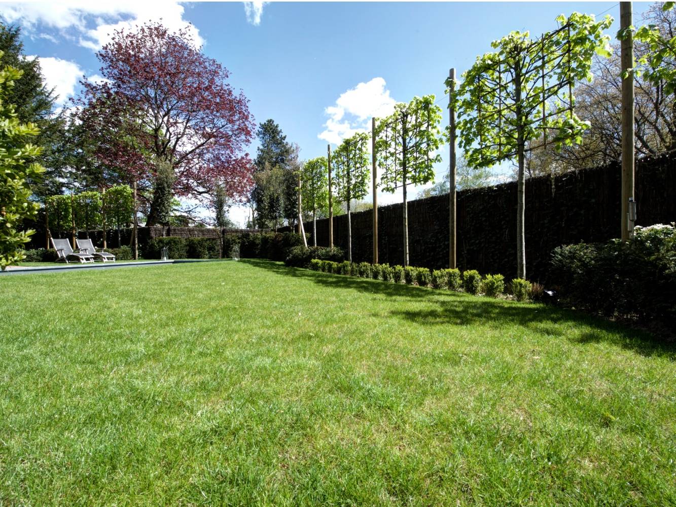 Plantation d'arbres palisses chez un particulier à Villeneuve d'Ascq