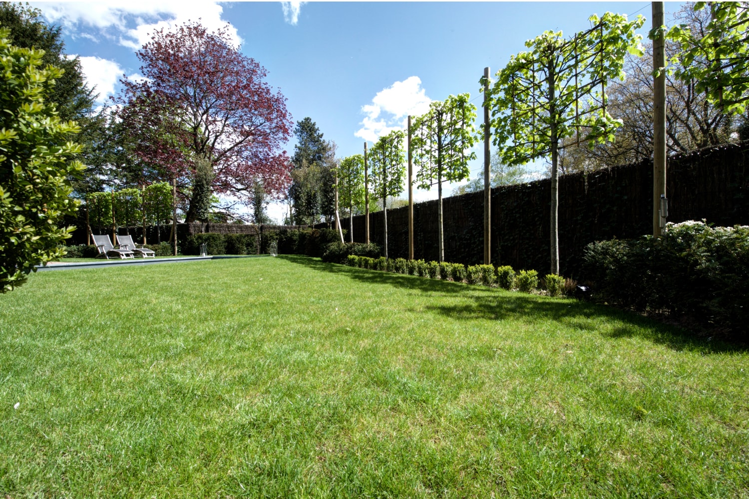 Plantation d'arbres palisses chez un particulier à Villeneuve d'Ascq