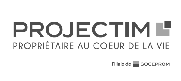 Projectim Logo