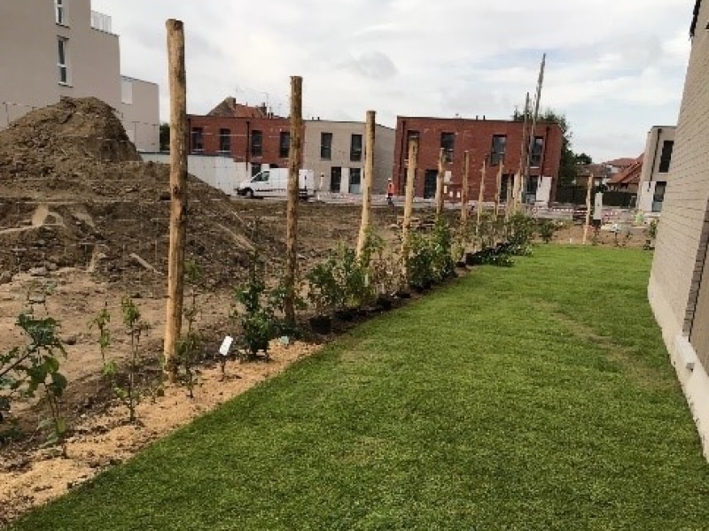 Plantation de haies végétalisées à Wambrechies