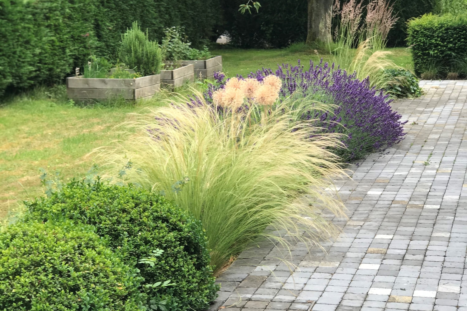 Aménagement jardin particulier - Création Thieffry Villeneuve d'Ascq