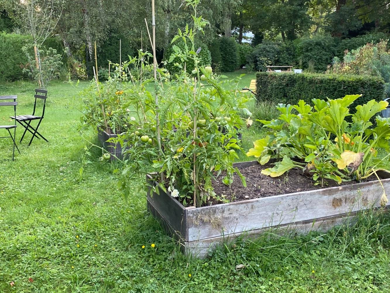 Aménagement potagers pour entreprise