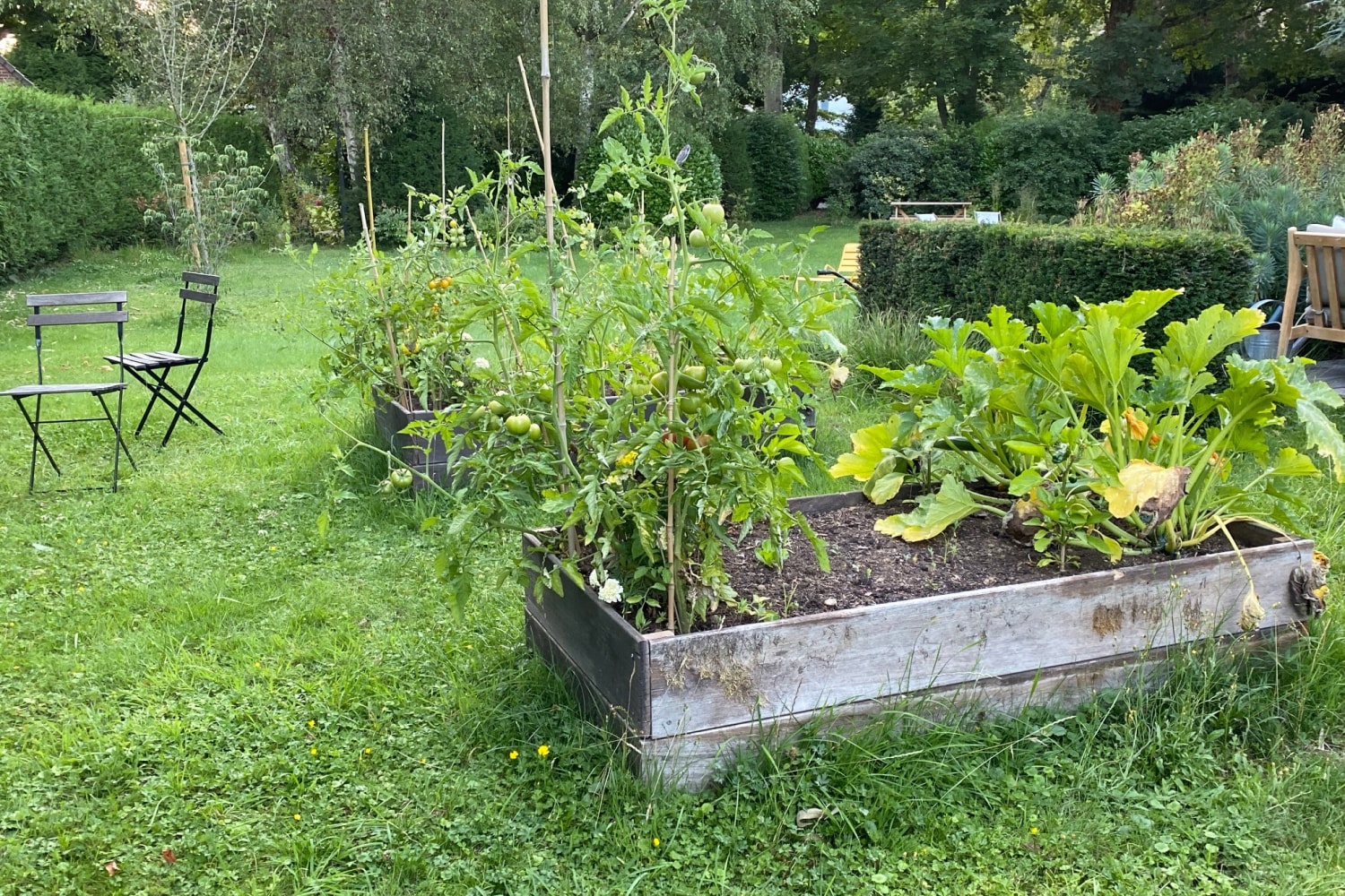 Aménagement potagers pour entreprise