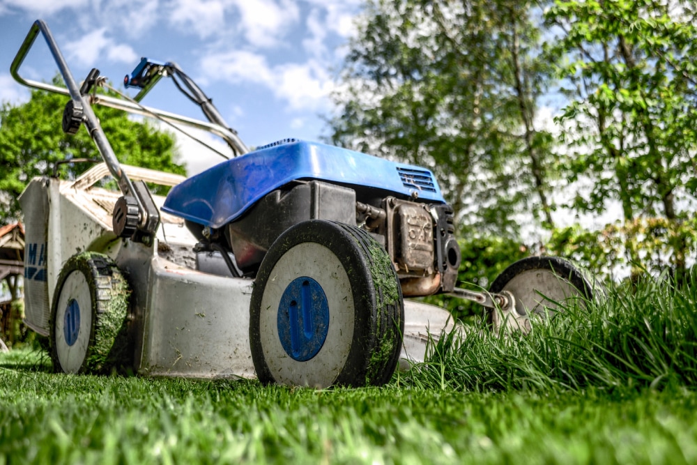 Ouvriers paysagistes entretien espaces verts