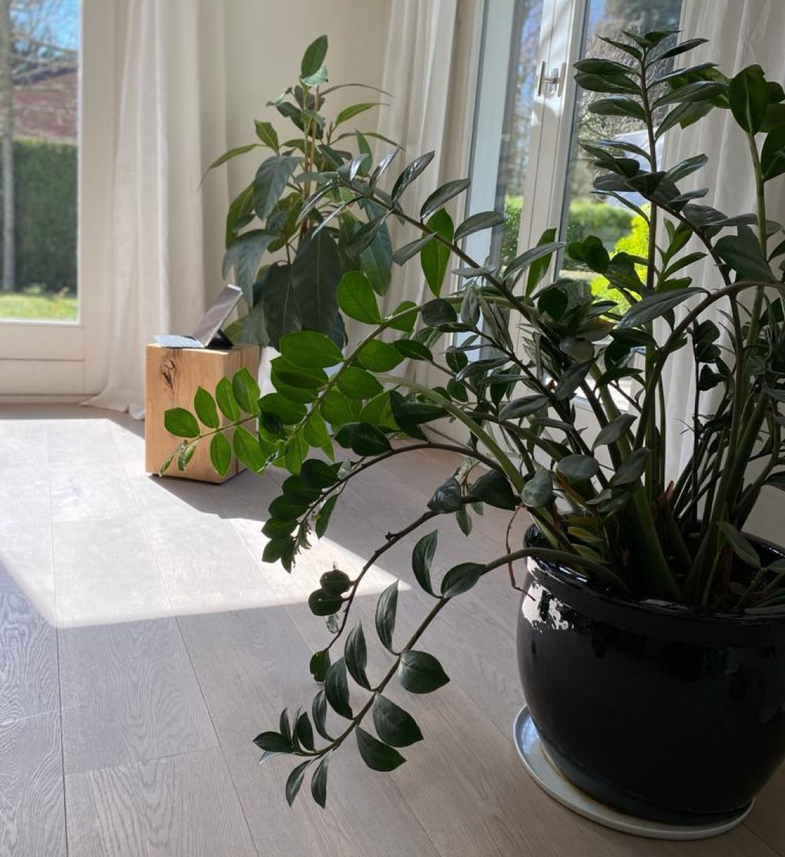 aménagement bureau plantes intérieur