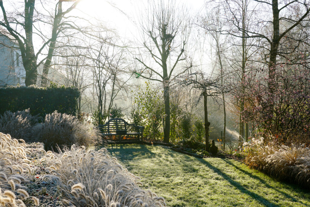 Jardin d'hiver dans la lumière du matin