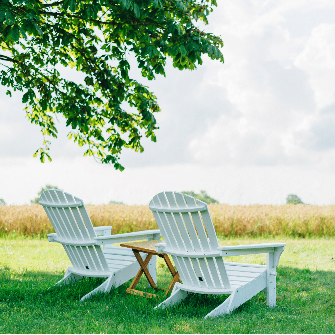 Un jardin en été